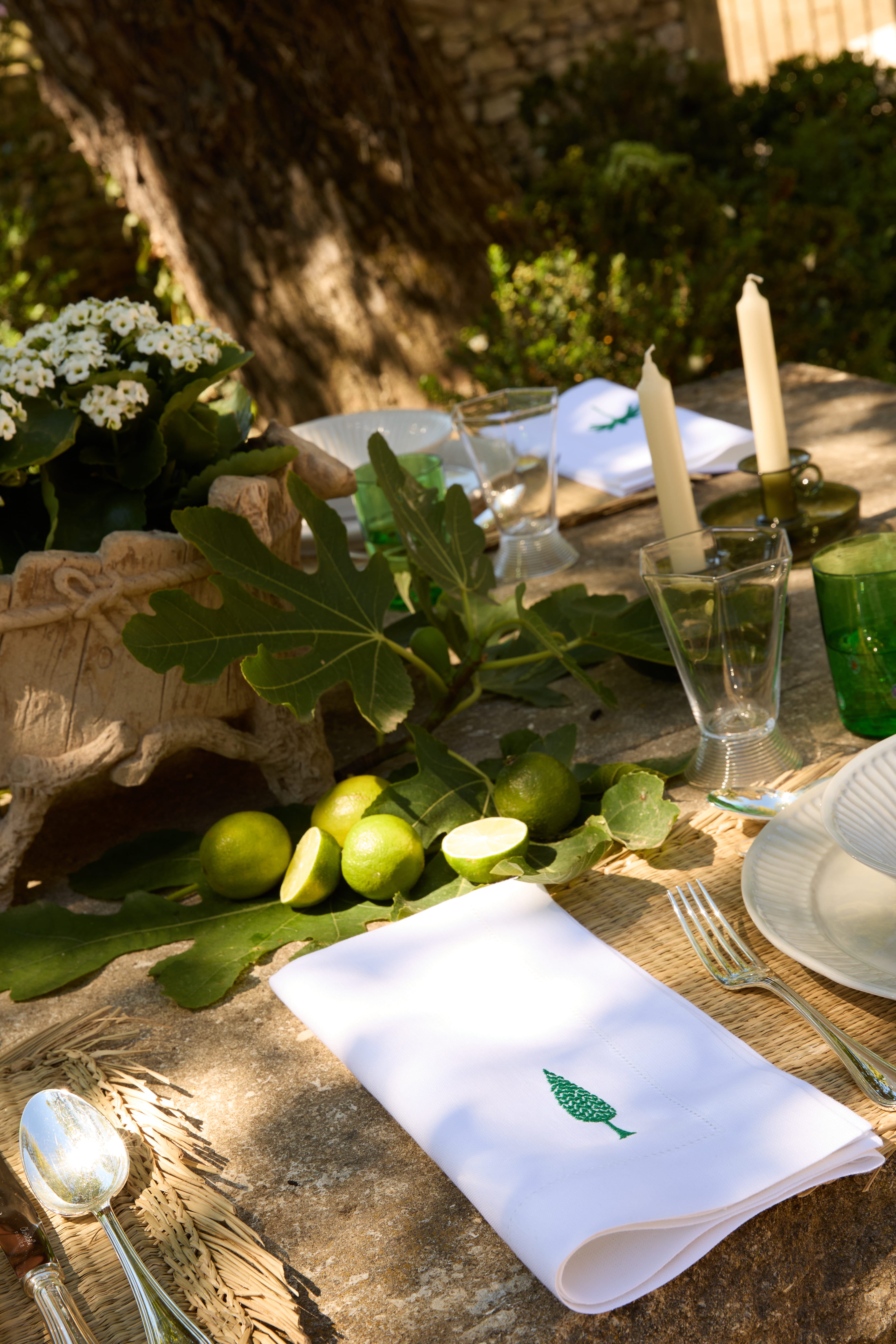 AGRA 4 Napkins & 4 Placemats