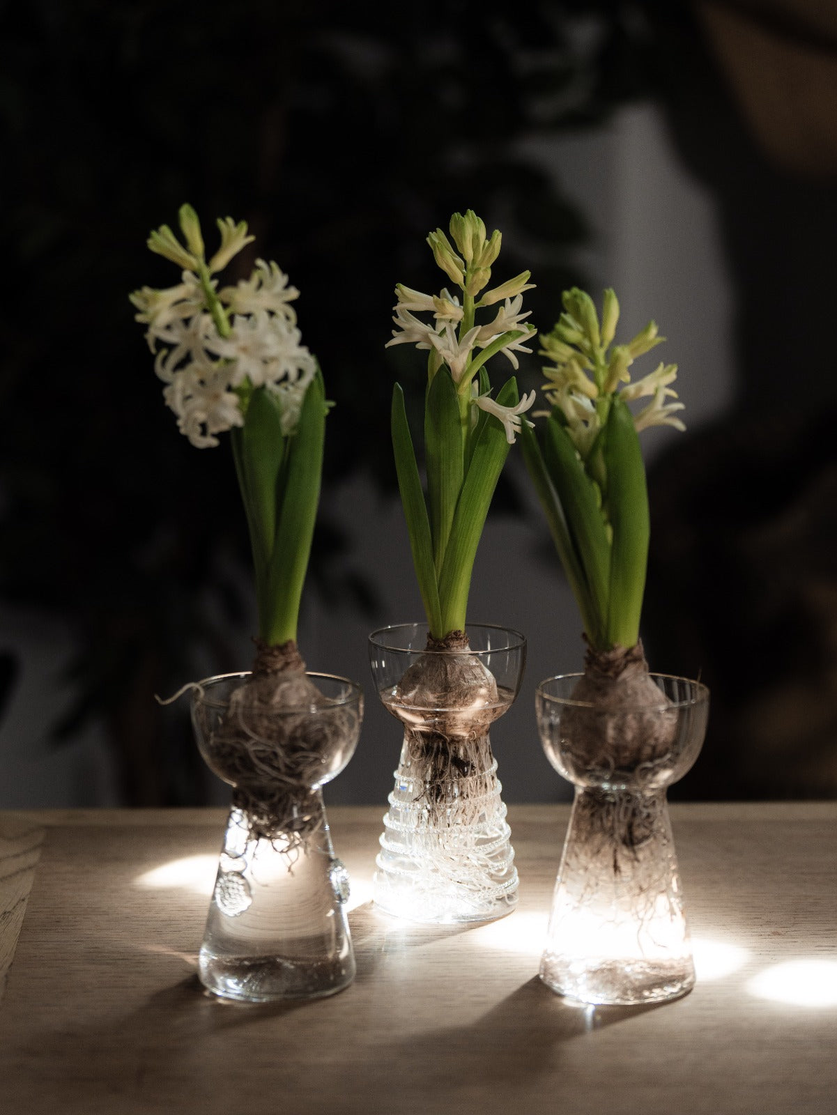 SABOR - Bulb Vases (Set of 3)