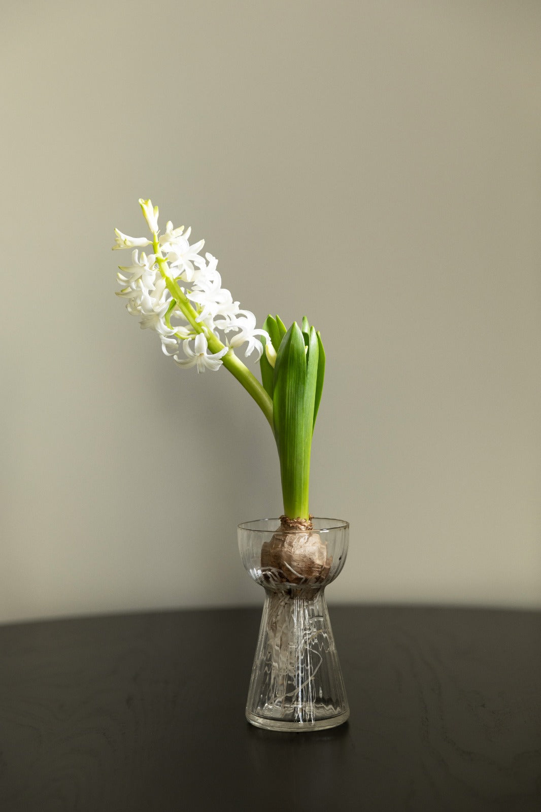 SABOR - Bulb Vases (Set of 3)