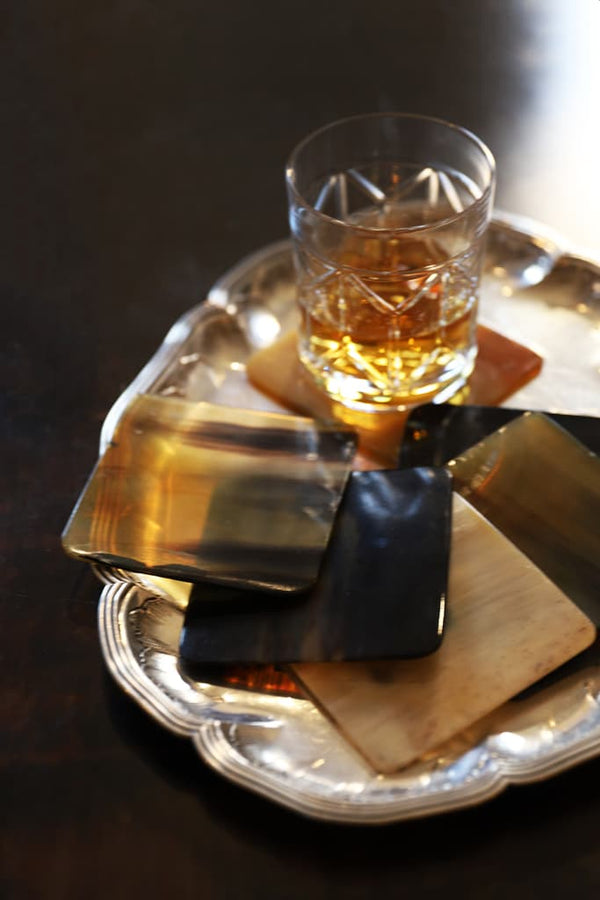 PAMPA HORN COASTERS - SET OF 6 - Natural