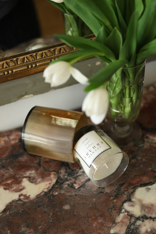 PAMPA Horn Candle Holder